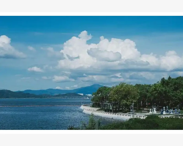 小儿清肺化痰颗粒：促进孩子呼吸系统健康的良好辅助药物