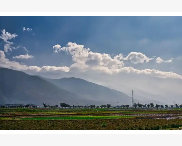 通过灸艾条可以驱寒除湿吗？